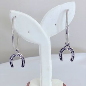 Horseshoe Hoop Earrings